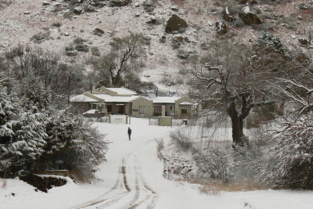 Aspen Guest House Clarens Ngoại thất bức ảnh
