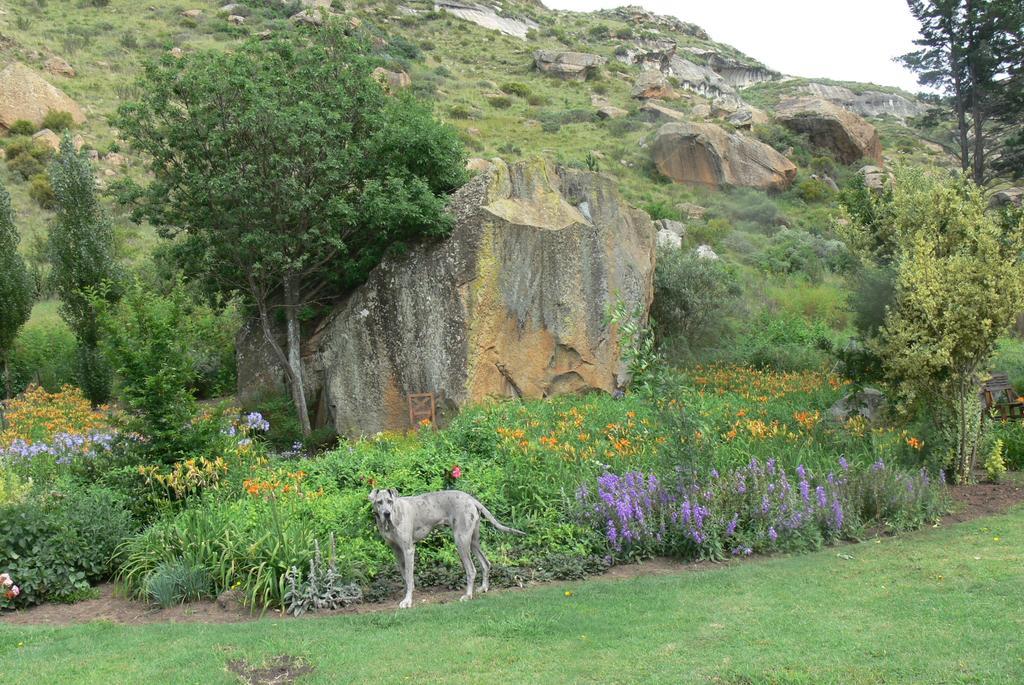 Aspen Guest House Clarens Ngoại thất bức ảnh