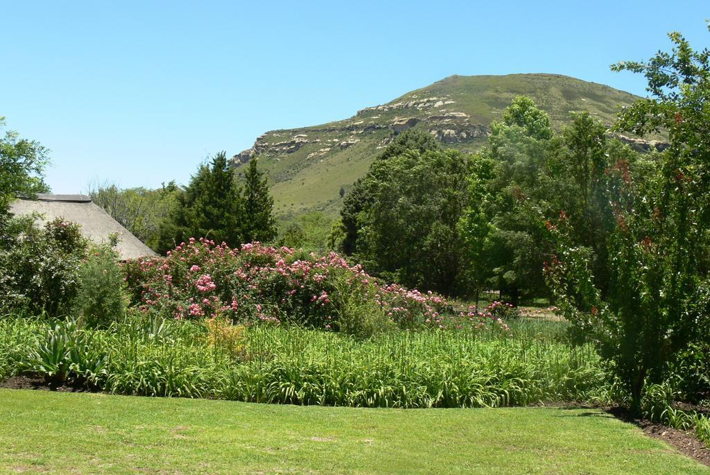 Aspen Guest House Clarens Ngoại thất bức ảnh